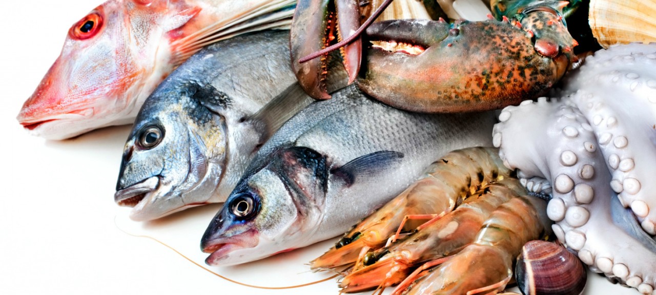 Les 10 Meilleurs Restaurants de Poisson à Genève